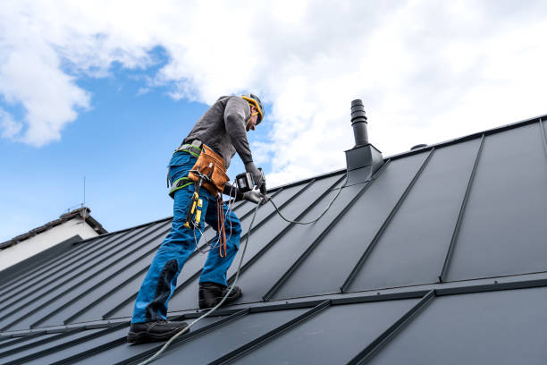Best Roof Moss and Algae Removal  in Quantico Base, VA